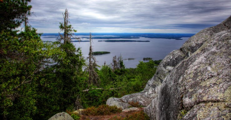 Koli bildrättigheter Visit Finland/Seppo Rinta-Kauppila