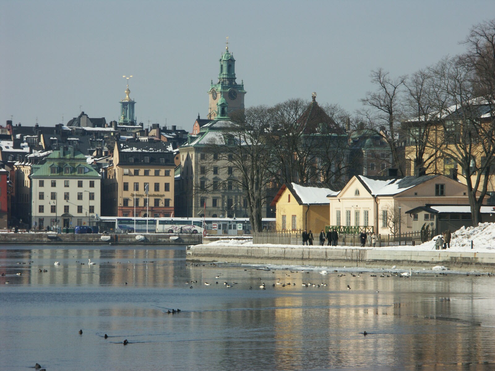 Hotell I Stockholm Scandic Hotell Hotell I Stockholm Scandic Hotell